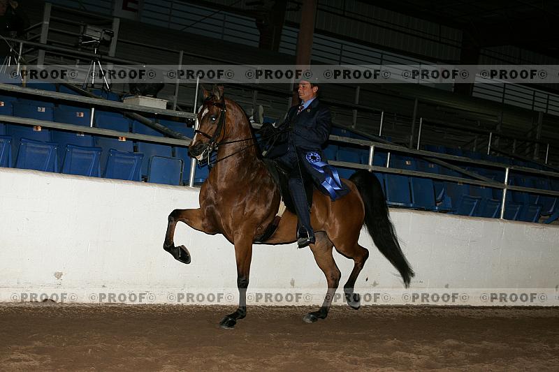Proof Number r7_05__0234