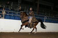r7_05__0251 thumbnail