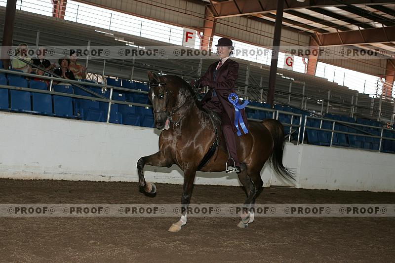 Proof Number r7_05__0374