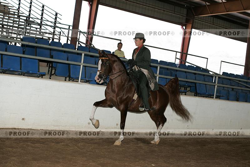 Proof Number r7_05__0376