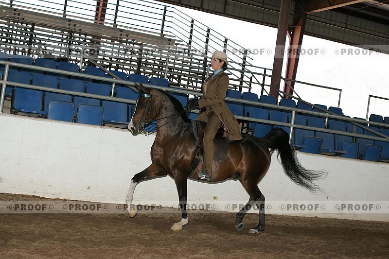Proof Number r7_05__0380