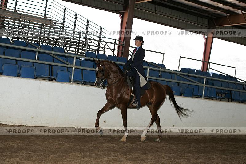 Proof Number r7_05__0381