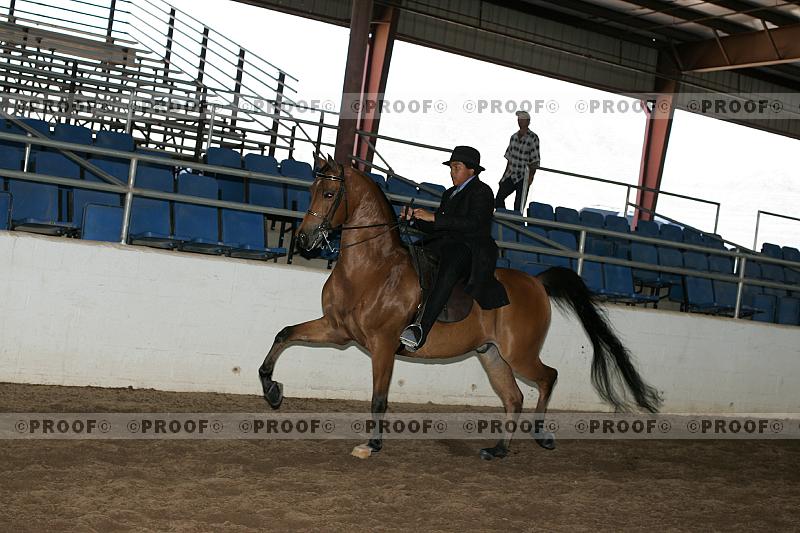 Proof Number r7_05__0383