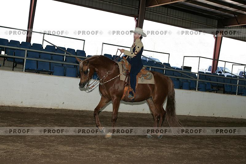 Proof Number r7_05__0388