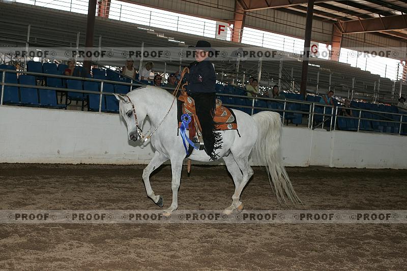 Proof Number r7_05__0394