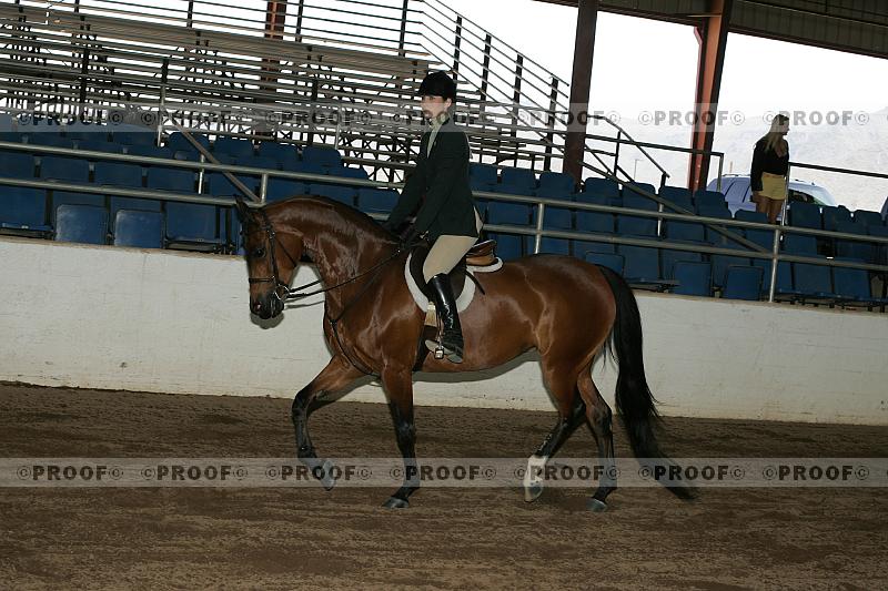 Proof Number r7_05__0304