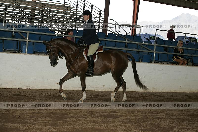 Proof Number r7_05__0305