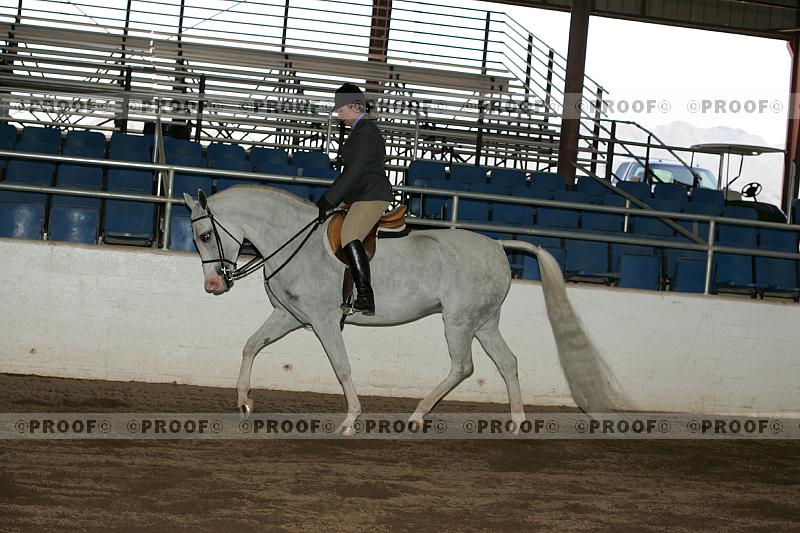 Proof Number r7_05__0308