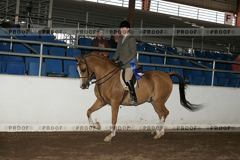 Proof Number r7_05__0309