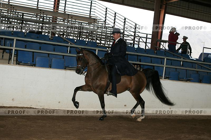 Proof Number r7_05__0312