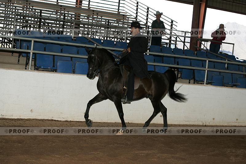Proof Number r7_05__0314