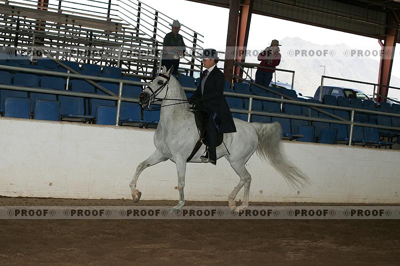 Proof Number r7_05__0315
