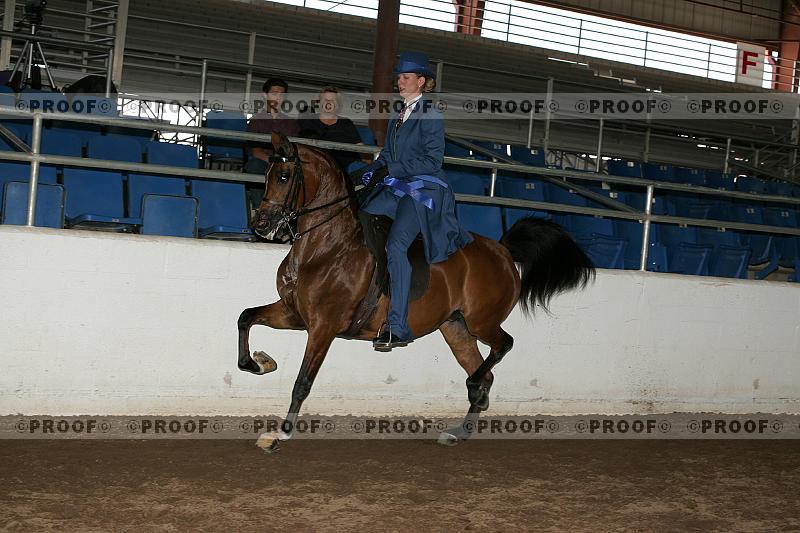 Proof Number r7_05__0316
