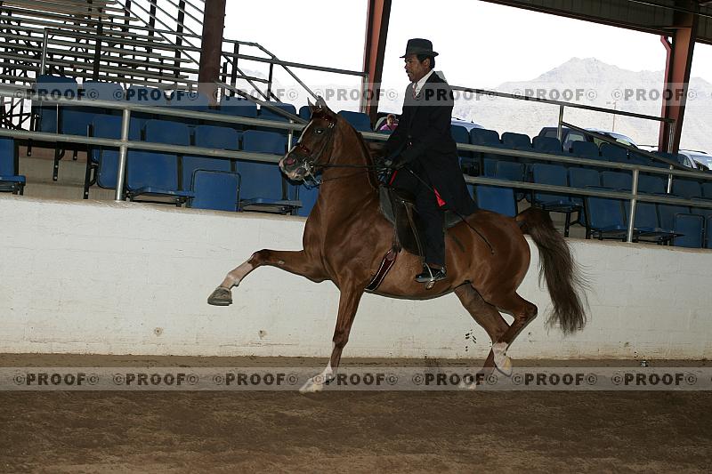 Proof Number r7_05__0328