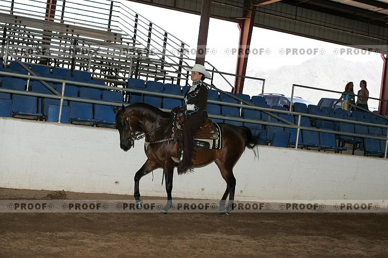 Proof Number r7_05__0335