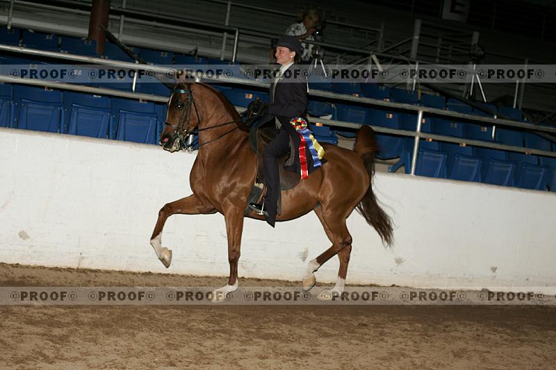 Proof Number r7_05__0449
