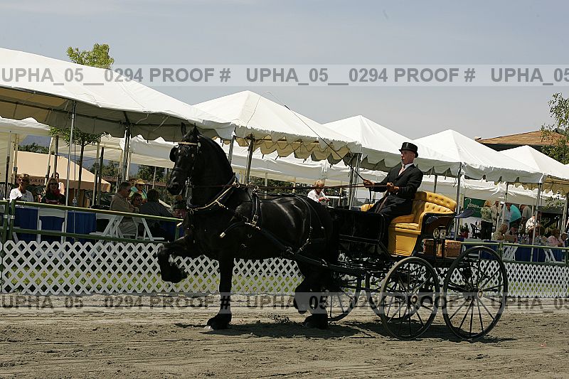 Proof Number upha_05__0294
