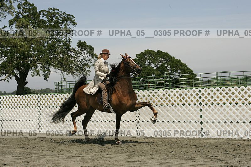 Proof Number upha_05__0305