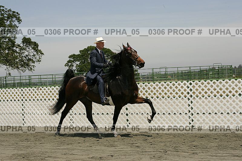 Proof Number upha_05__0306