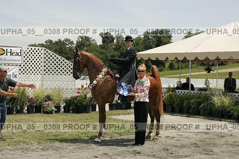 Proof Number upha_05__0308