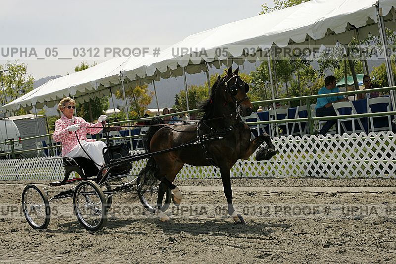 Proof Number upha_05__0312