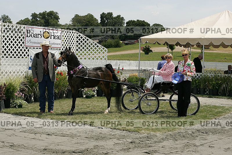 Proof Number upha_05__0313