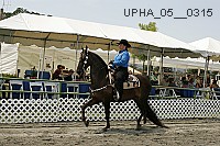 Proof Number upha_05__0315