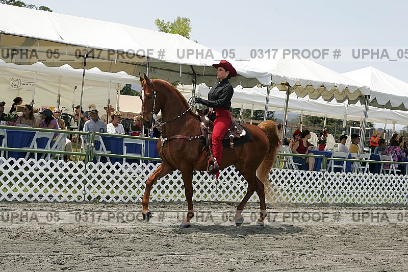 Proof Number upha_05__0317