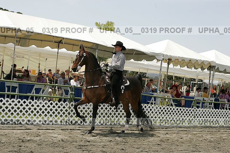 Proof Number upha_05__0319