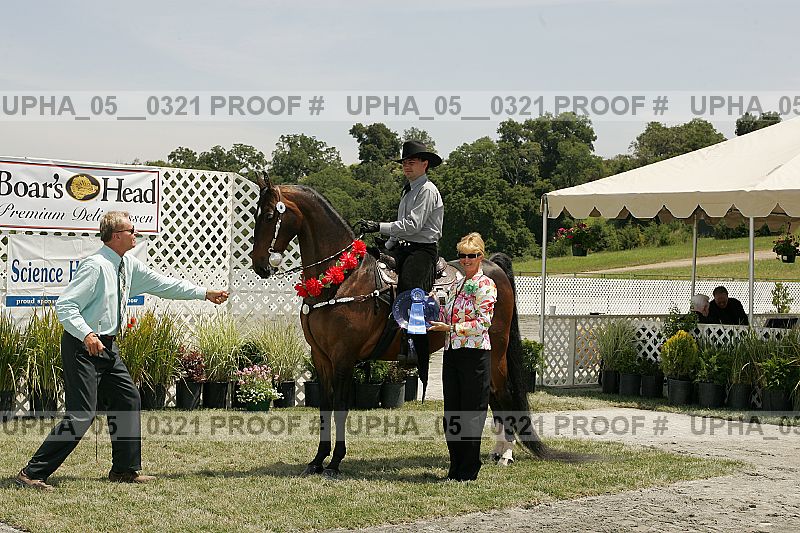 Proof Number upha_05__0321