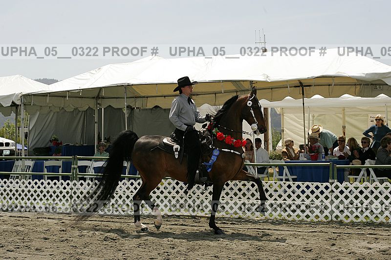 Proof Number upha_05__0322