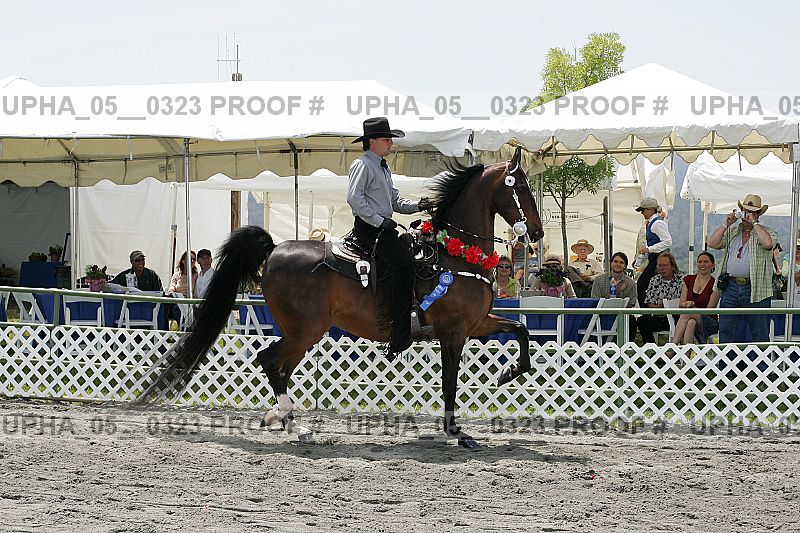 Proof Number upha_05__0323