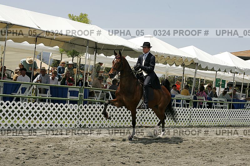 Proof Number upha_05__0324