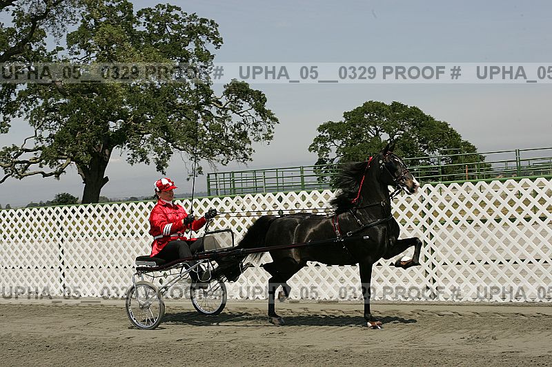 Proof Number upha_05__0329