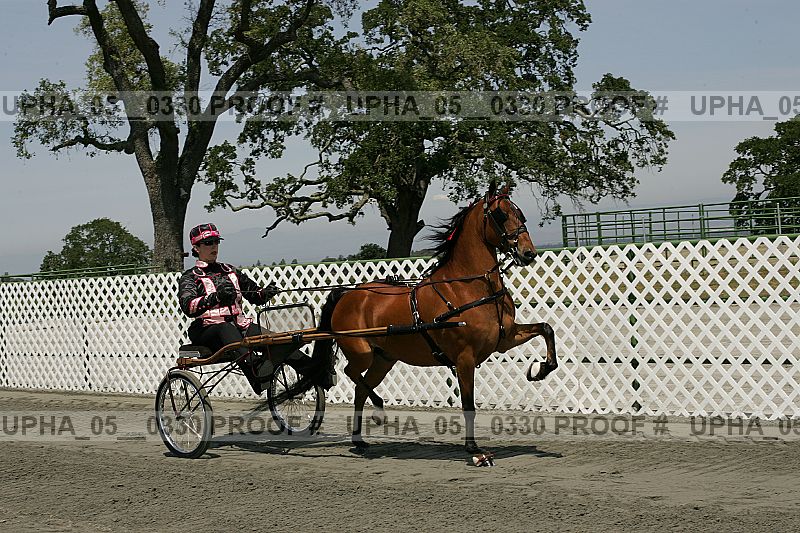 Proof Number upha_05__0330