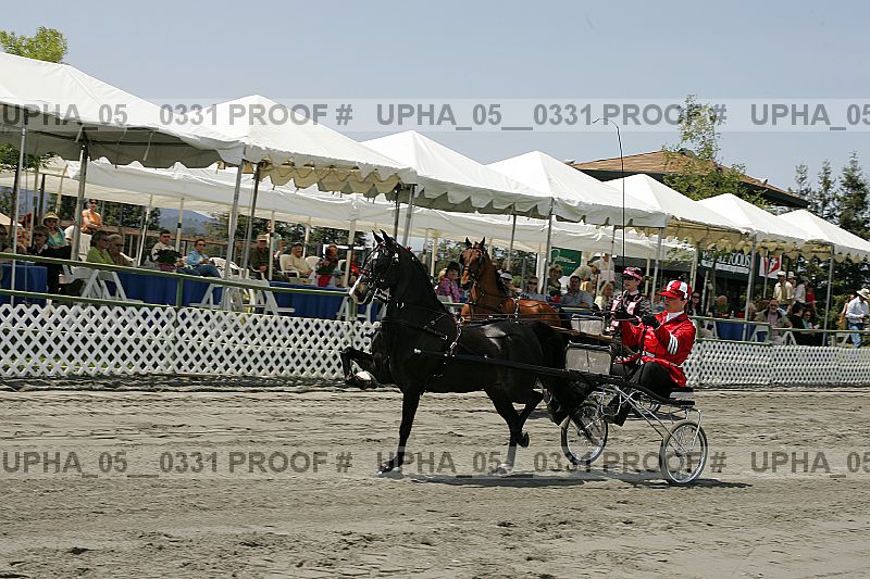 Proof Number upha_05__0331