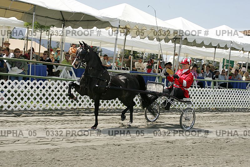 Proof Number upha_05__0332