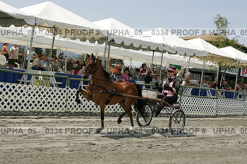 Proof Number upha_05__0334