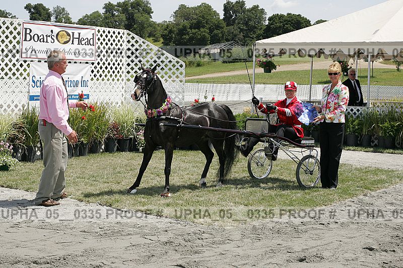 Proof Number upha_05__0335