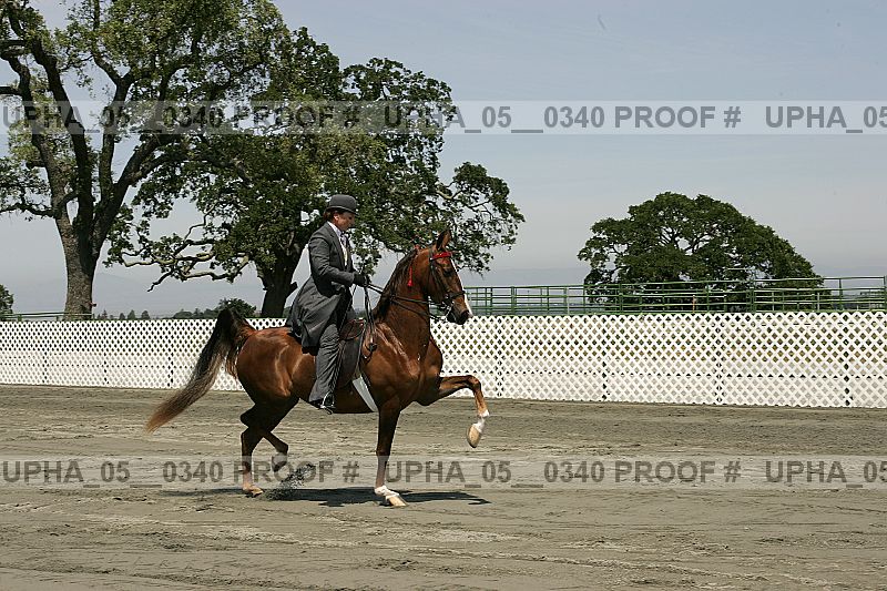 Proof Number upha_05__0340