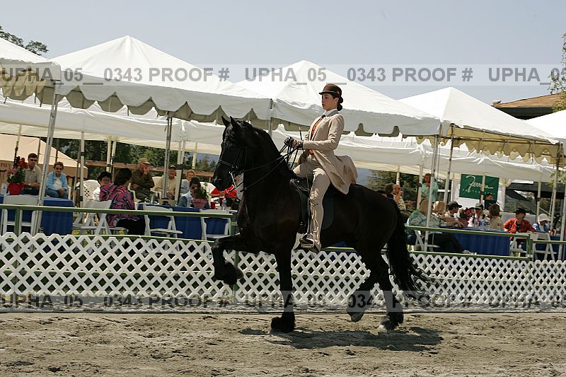 Proof Number upha_05__0343