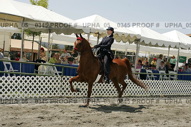 Proof Number upha_05__0345