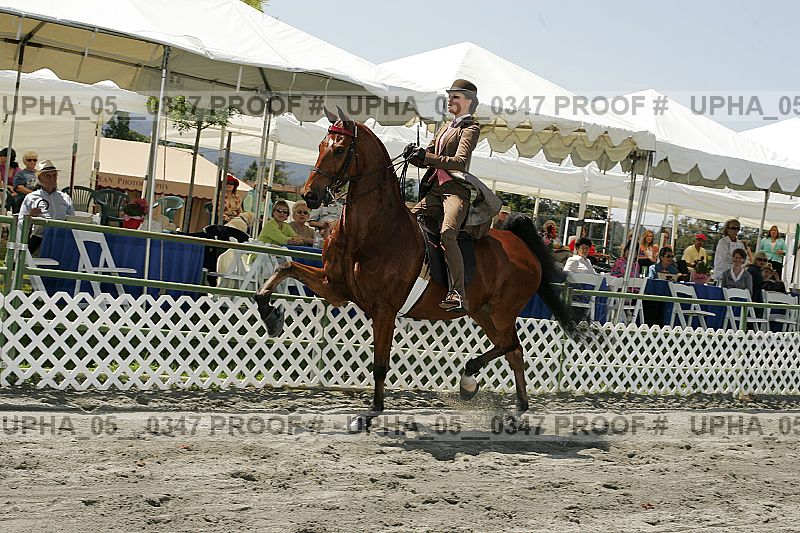Proof Number upha_05__0347