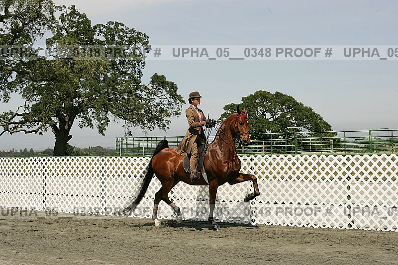 Proof Number upha_05__0348