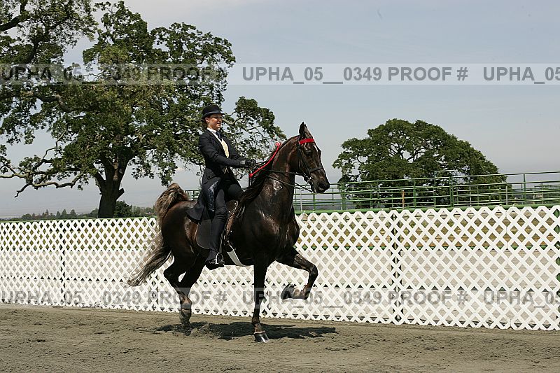 Proof Number upha_05__0349