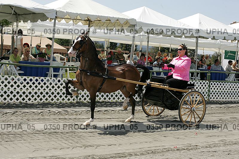 Proof Number upha_05__0350