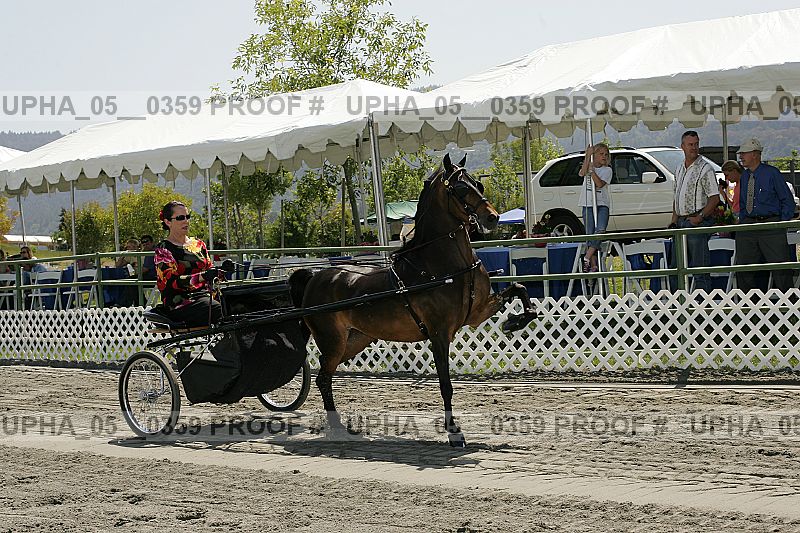 Proof Number upha_05__0359