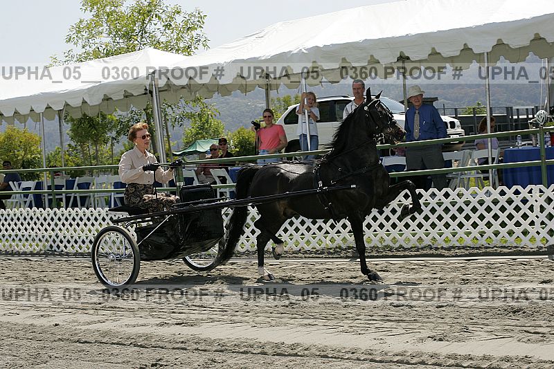 Proof Number upha_05__0360