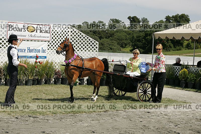 Proof Number upha_05__0365