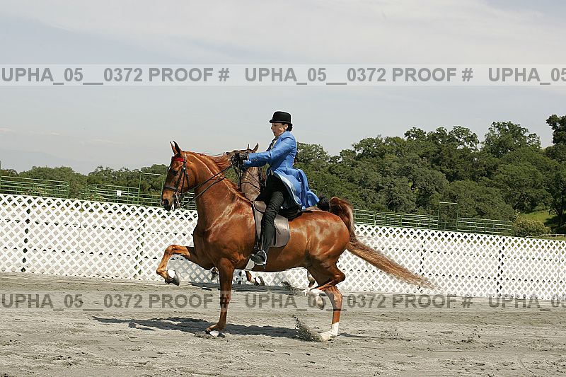 Proof Number upha_05__0372